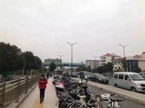 张江街头爆料案件最新,警方全力追查真相  第1张