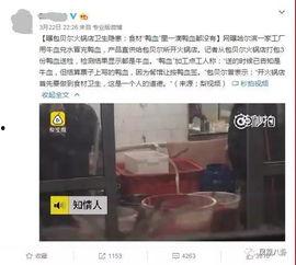 某火锅店爆料视频最新版,揭秘幕后真相，行业乱象引关注  第3张