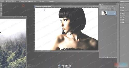 爆料教科书的原视频,真实历史背后的惊人真相 第1张 爆料教科书的原视频,真实历史背后的惊人真相 第1张