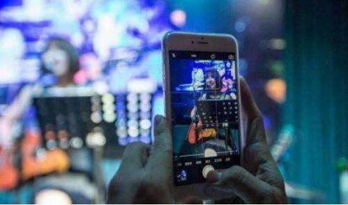 如何精准爆料网红呢视频,如何成为网络舆论风向标  第1张